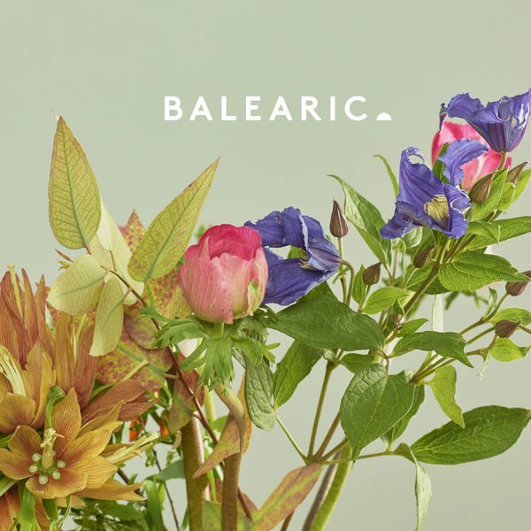 Various - Balearic 2 : 2LP