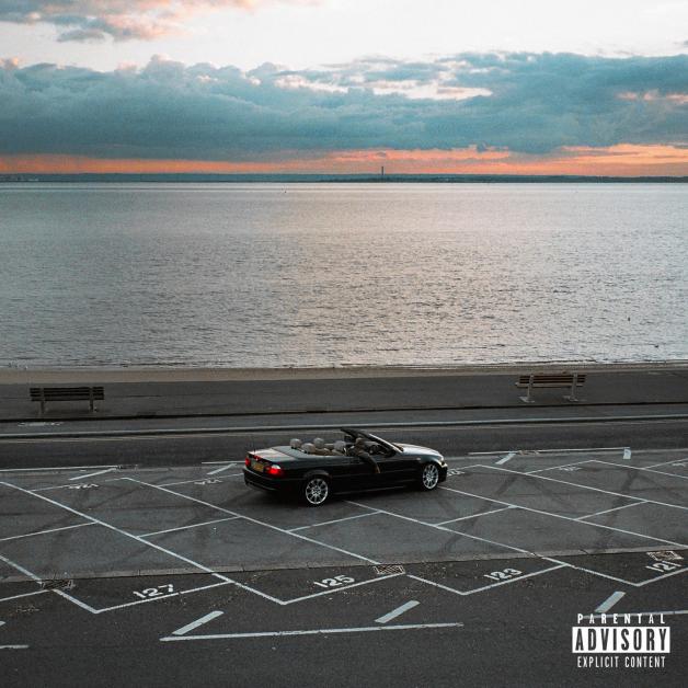 Steven Julien - Fallen : 2LP