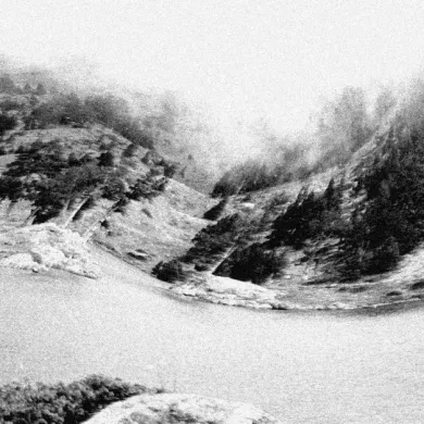 Leonard Lampion - 240283 : 12inch