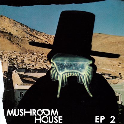Various - Mushroom House Ep 2 : 12inch