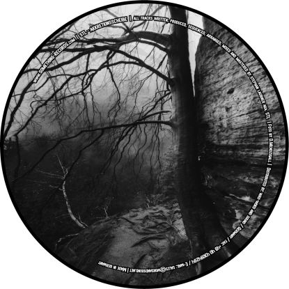 Stl - Akkretionsscheibe : 12inch