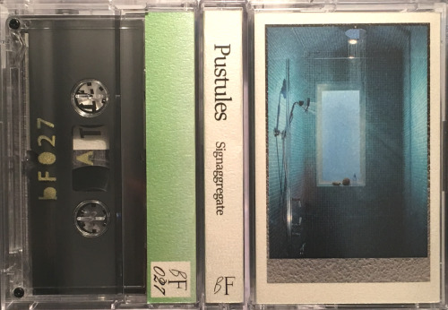 Pustules - Signaggregate : CASSETTE + DOWNLOAD CODE