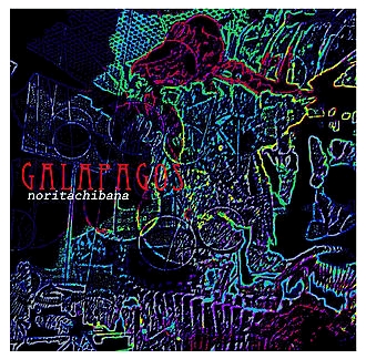 Nori Tachibana - Galapagos : CD
