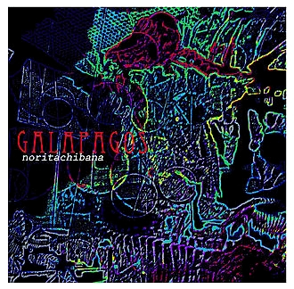 Nori Tachibana - Galapagos