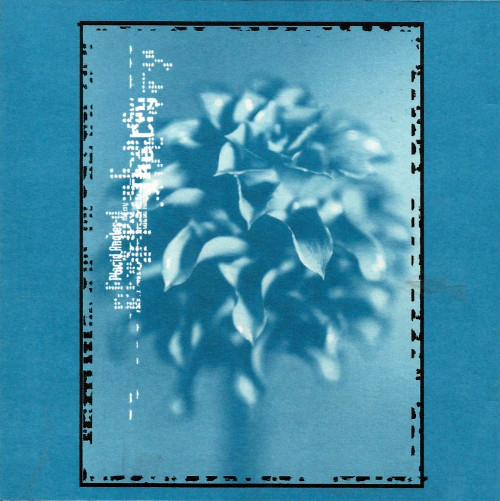 Placid Angles - The Cry