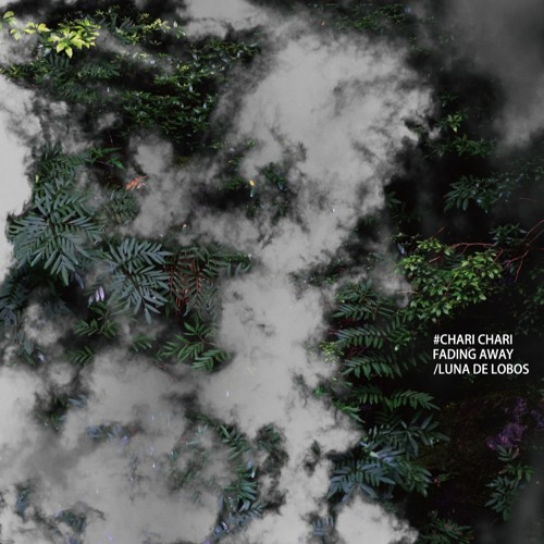 Chari Chari - Fading Away / Luna de Lobos