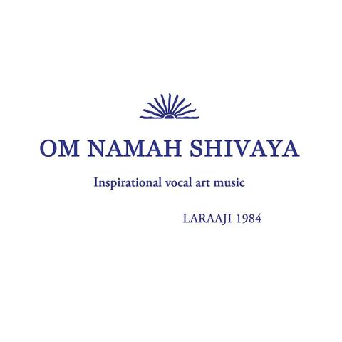Laraaji - Om Namah Shivaya : LP