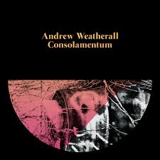 Andrew Weatherall - Consolamentum : 2LP＋DL