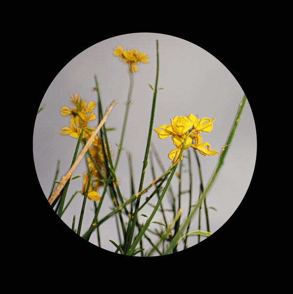Florist / Christian Jay / Various Artists - Black Label 01 - Part 1 : 12inch