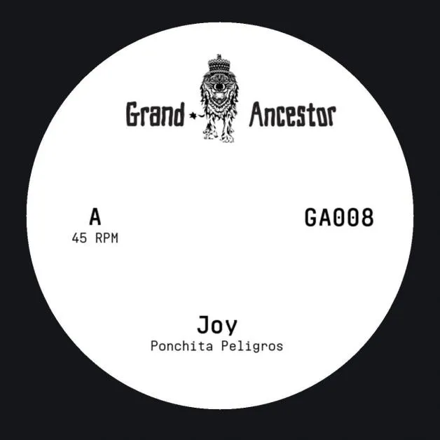 Ponchita Peligros / Helgeland 8bit Squad - Joy : 7inch