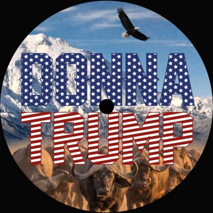 Donna Trump - Donna Trump : 12inch