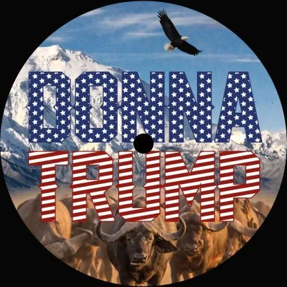 Donna Trump - Donna Trump : 12inch