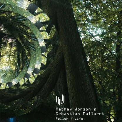 MATHEW JONSON & SEBASTIAN MULLAERT - Pollen 4 Life : 12inch