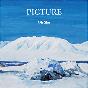 王舟 - Picture LP