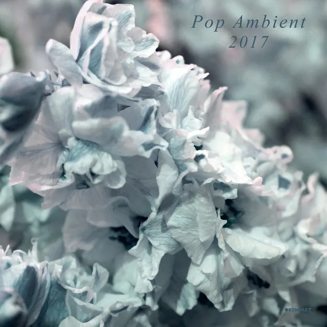 Various - Pop Ambient 2017 : LP＋DL
