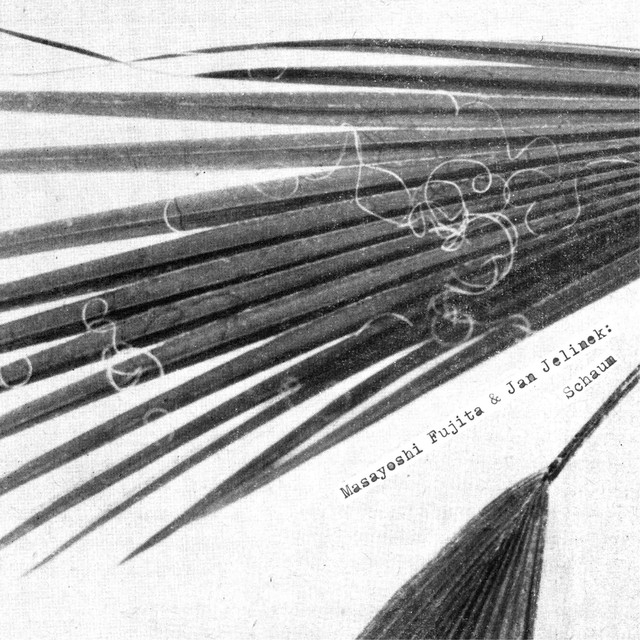 MASAYOSHI FUJITA &amp; JAN JELINEK - Schaum
