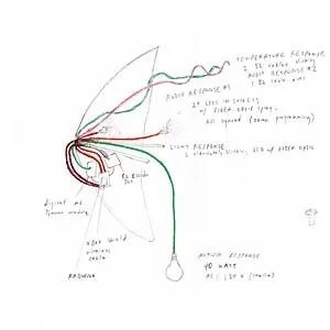 Various - 41'36“ : LP