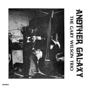 The Gary Wilson Trio - Another Galaxy LP : LP