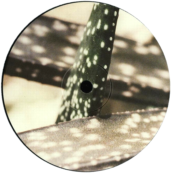 S.A.M. - Delaphine 007