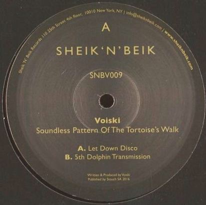 Voiski - Soundless Pattern Of The Tortoise’s Walk