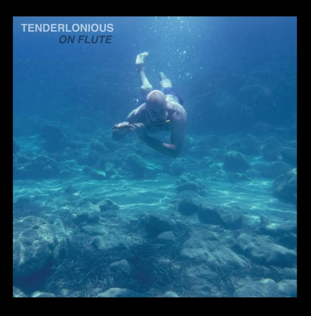 Tenderlonious - On Flute