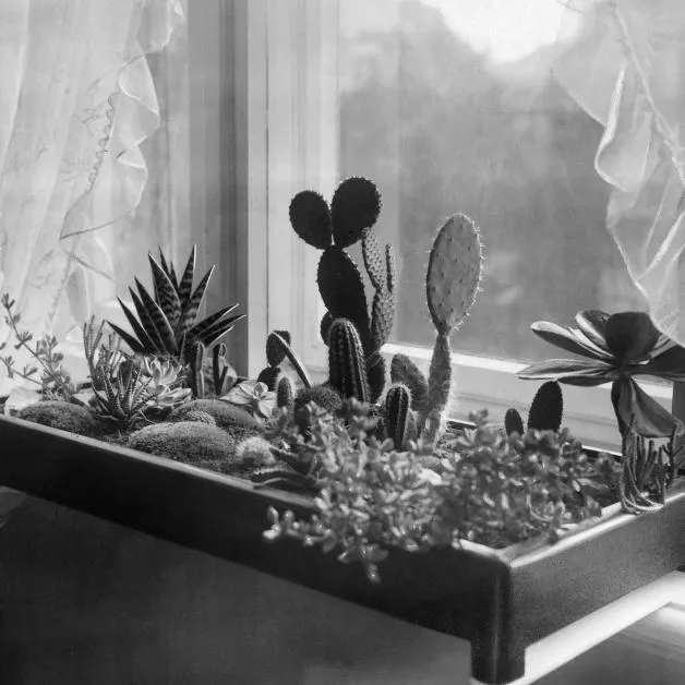 Turinn - 18 1/2 Minute Gaps : 2LP