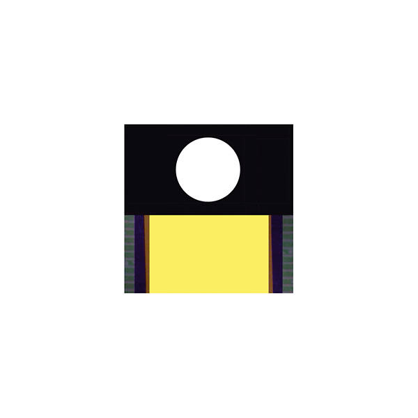 L/F/D/M - Music Without Discipline