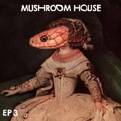 Various - Mushroom House Ep 3 : 12inch