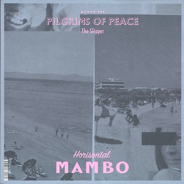 Pilgrims Of Peace - The Slipper