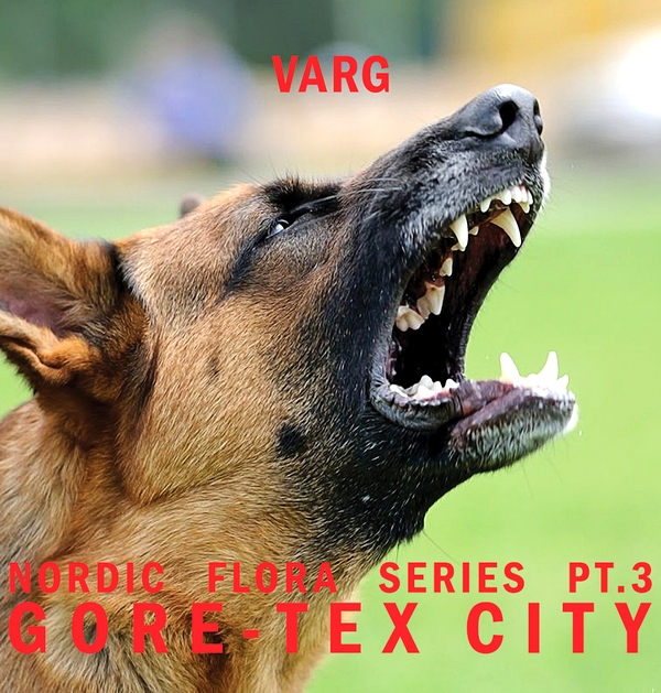 Varg - Nordic Flora Series Pt.3 : GORE-TEX CITY : 2LP