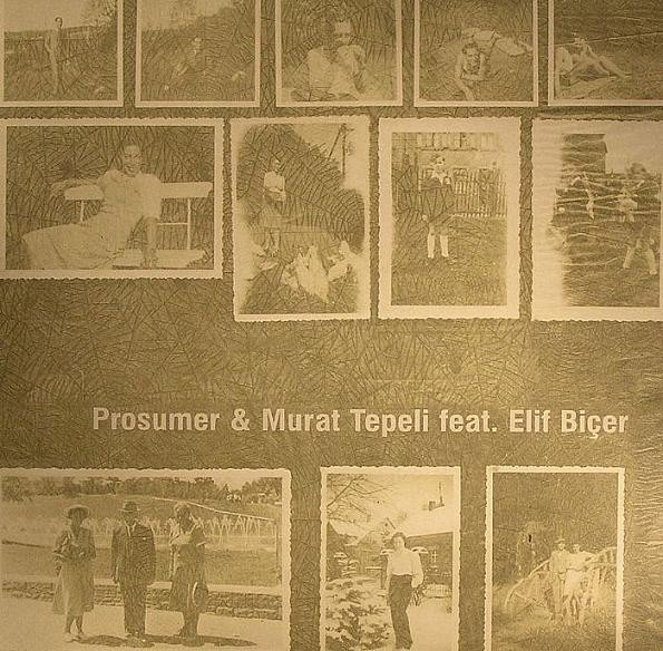 Prosumer & Murat Tepeli Feat. Elif Bicer - Turn Around : 12inch
