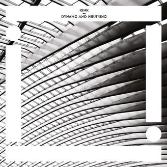 Kink - Dynamo and Neutrino