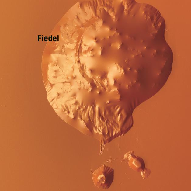 Fiedel - Substance B : 12inch