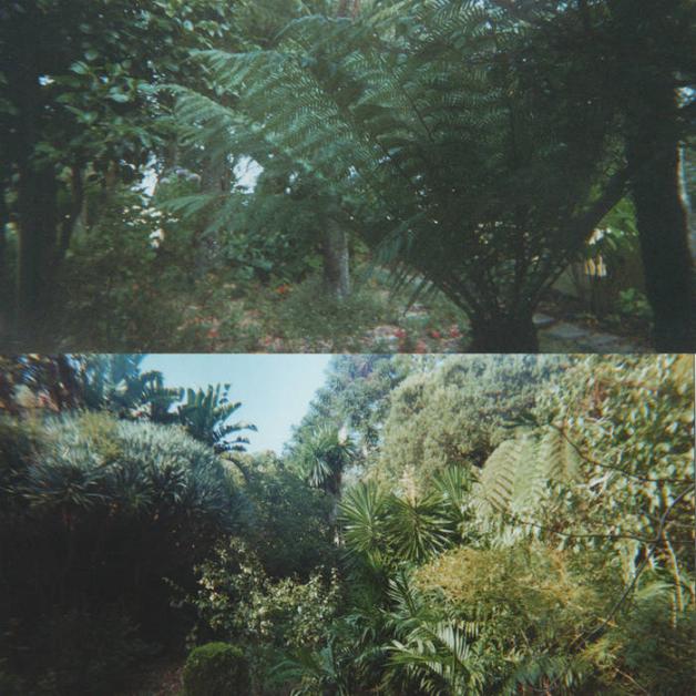 Lieven Martens - Gardens, Fire and Wine : Set Of Postcards + DL Code