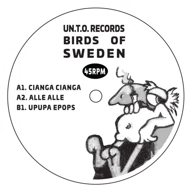 Birds Of Sweden - Birds Of Sweden EP : 12inch