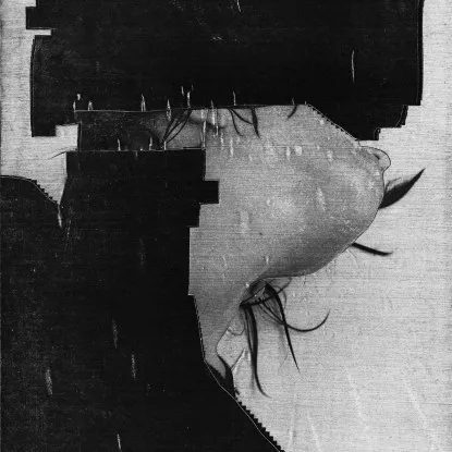 These Hidden Hands Feat.Lucrecia Dalt - These Moments Dismantled : 12inch