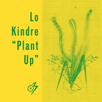 Lo Kindre - Plant Up