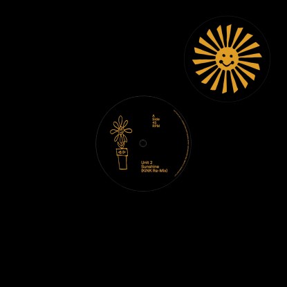 Unit 2 - Sunshine (Kink, Tiger & Woods Remixes) : 12inch