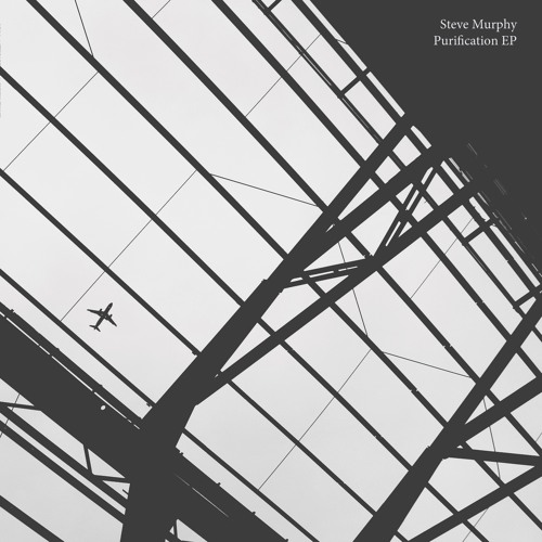 Steve Murphy - Purification EP : 12inch