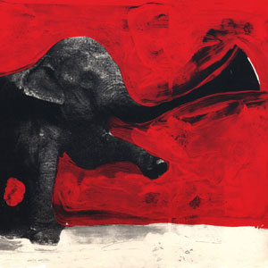 C'mon Tigre - Elephant Rmx