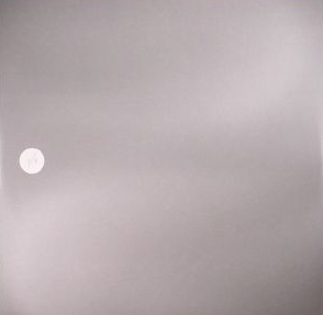 I/Y - I/Y008 : 12inch