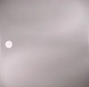 I/Y - I/Y008 : 12inch