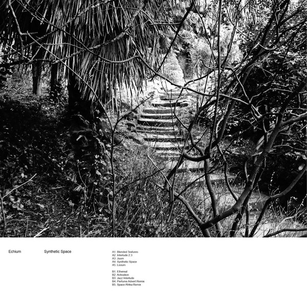 Echium - Synthetic Space