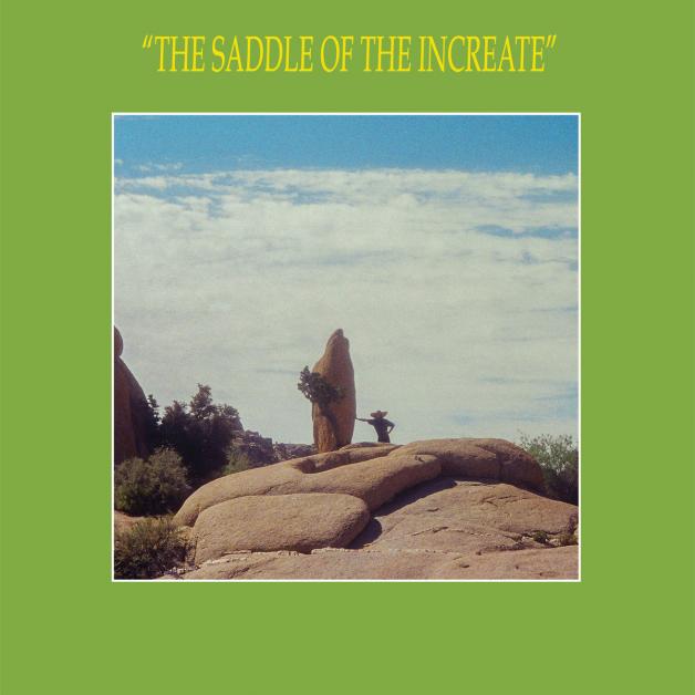 Sun Araw - The Saddle of the Increate : 2LP