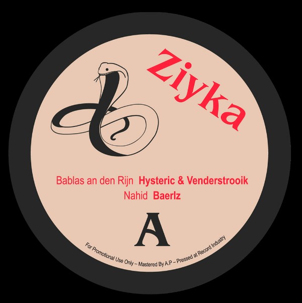 Various - ZIYKA : 12inch