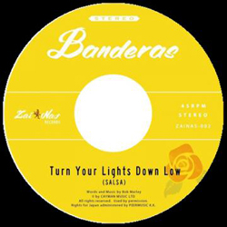 Banderas - Turn Your Lights Down Low