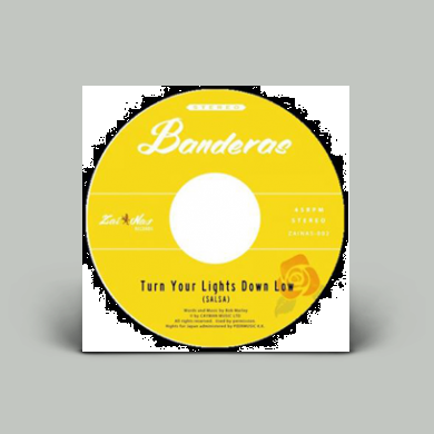 Banderas - Turn Your Lights Down Low | NEWTONE RECORDS