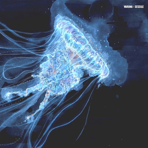 Varuna - Sessile