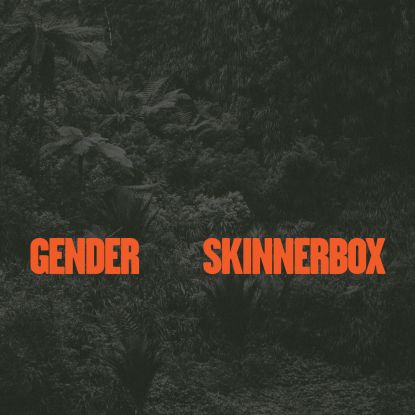 Skinnerbox - Gender (Axel Boman/Aunti Flo Remixes) : 12inch