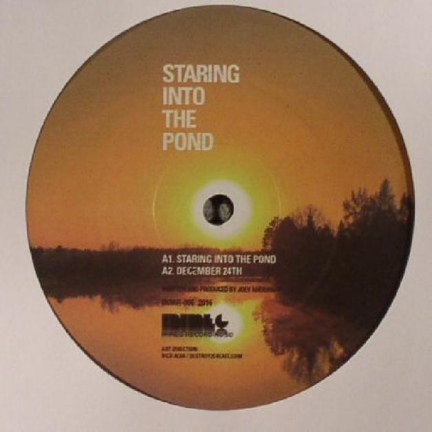Joey Anderson - Staring To The Pond : 12inch